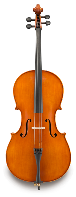 Eastman Strings Model 200- Intermediate Cello Outfit 4/4