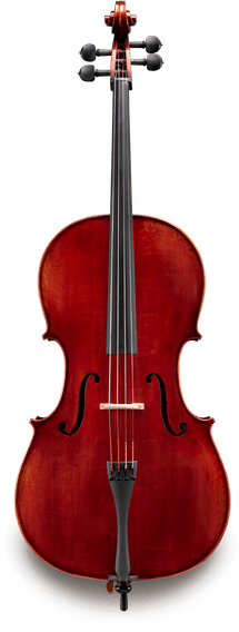 Eastman Strings Model 501-Jean Pierre Lupot- Intermediate Cello